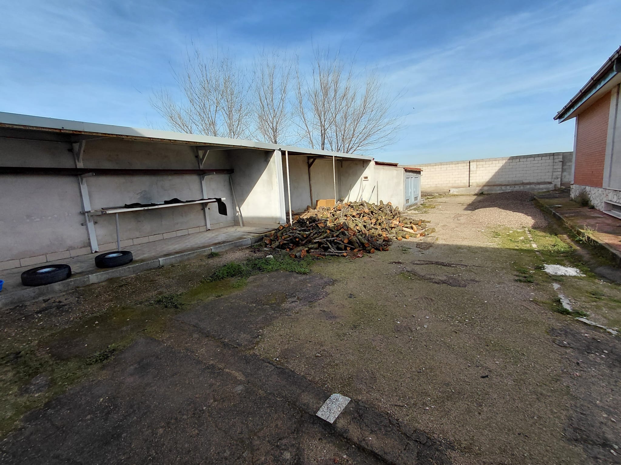 WhatsApp Image 2026-01-16 at 11.45.23(7)